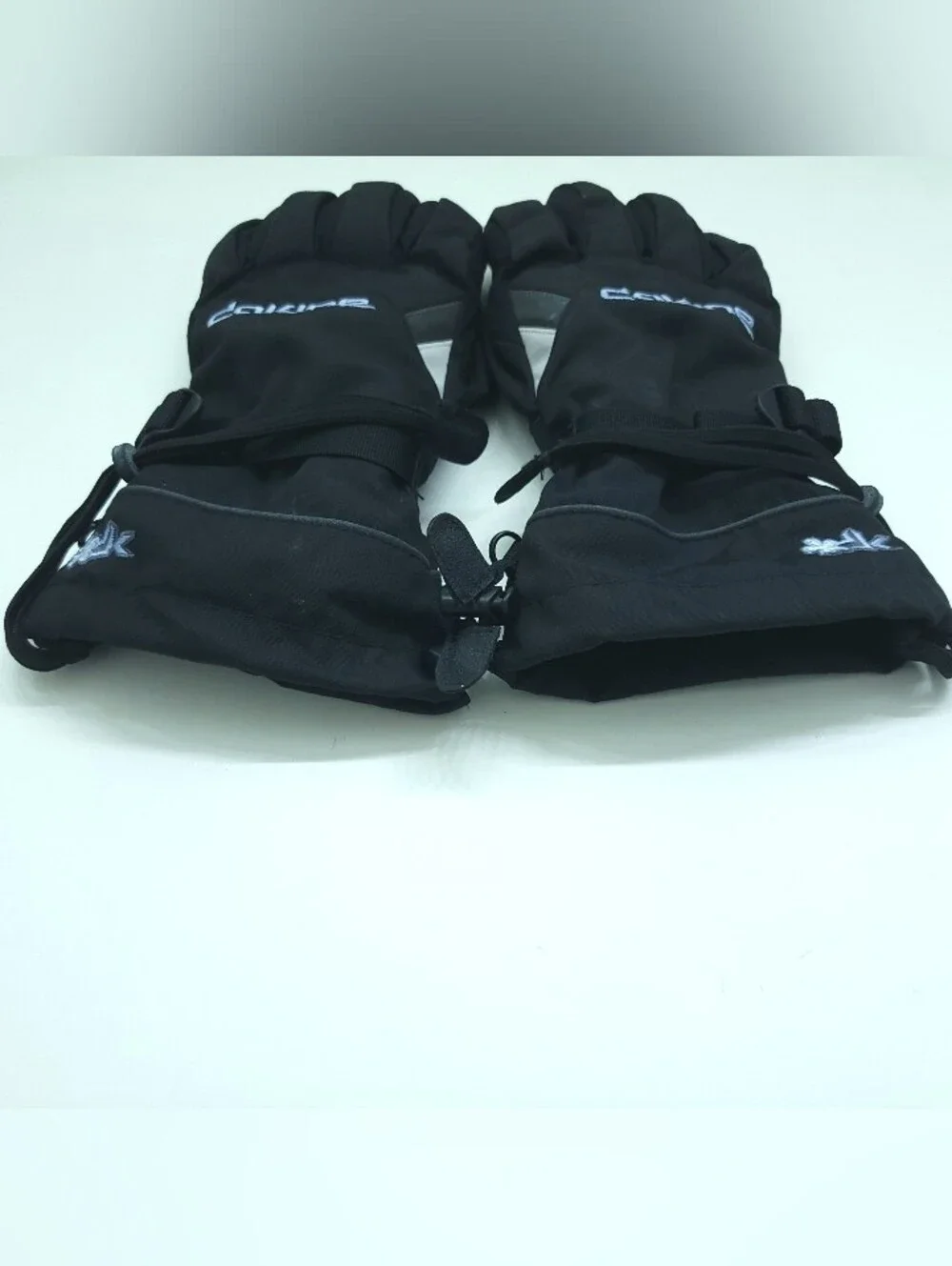 Dakine ski snowboarding